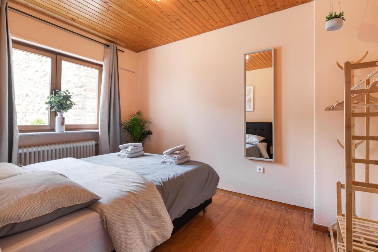 Haus Blaue Traube Mit Moselblick Daire Ediger-Eller Dış mekan fotoğraf