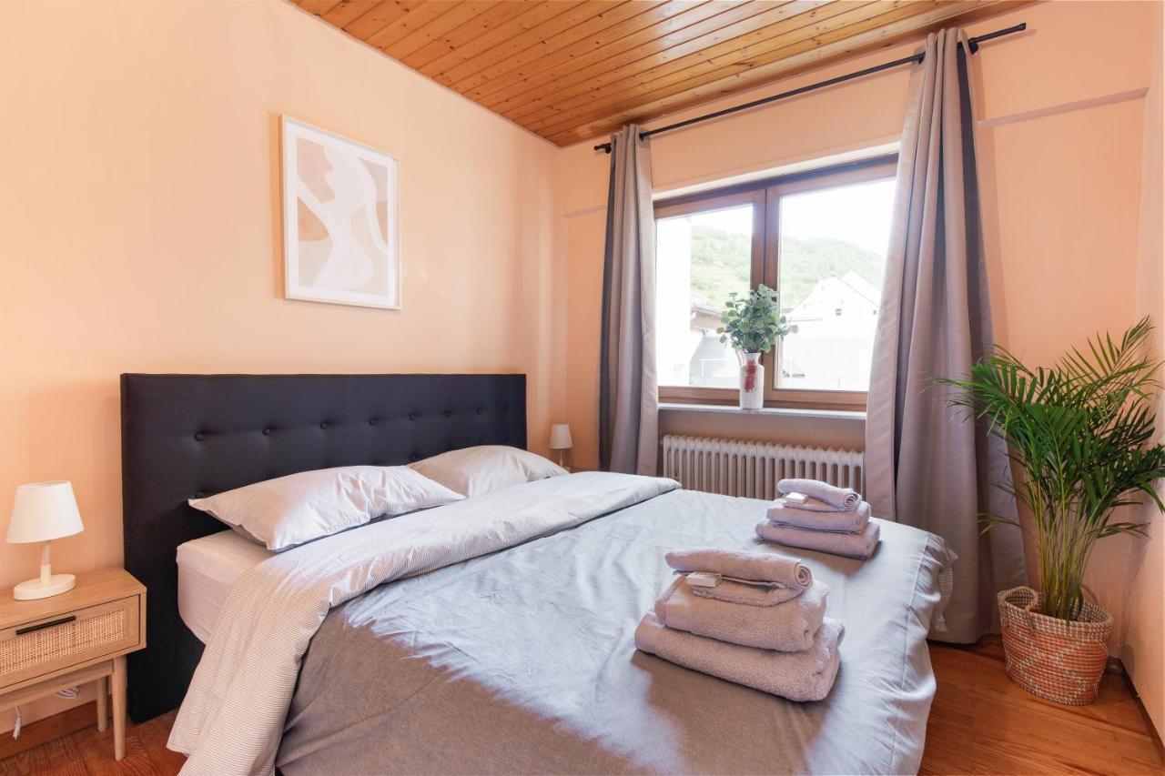 Haus Blaue Traube Mit Moselblick Daire Ediger-Eller Dış mekan fotoğraf